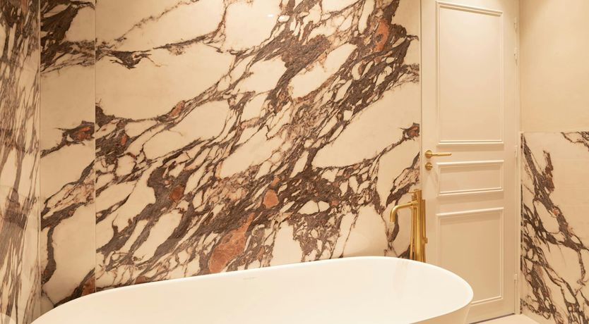 Photo of French Muse