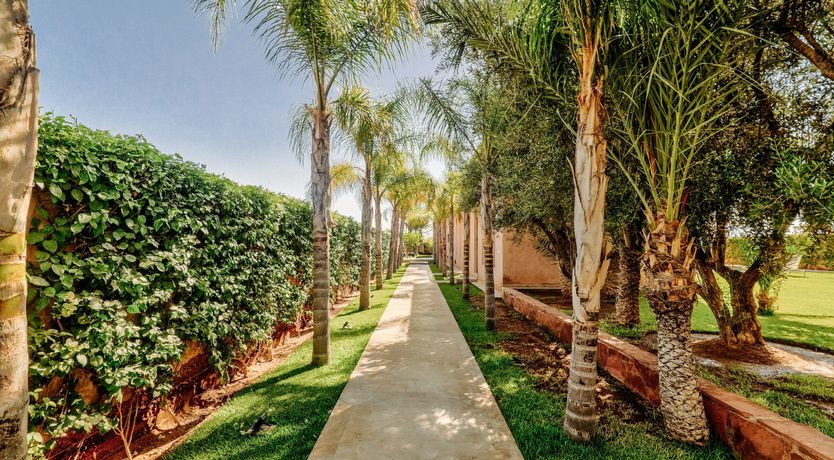 Photo of Oasis & Amber