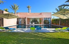 Photo of oasis-amber