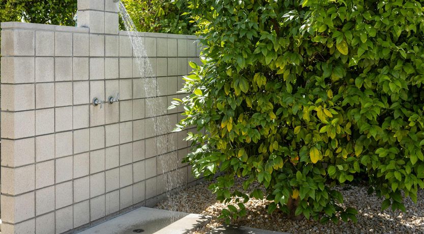 Photo of Azure Jewel