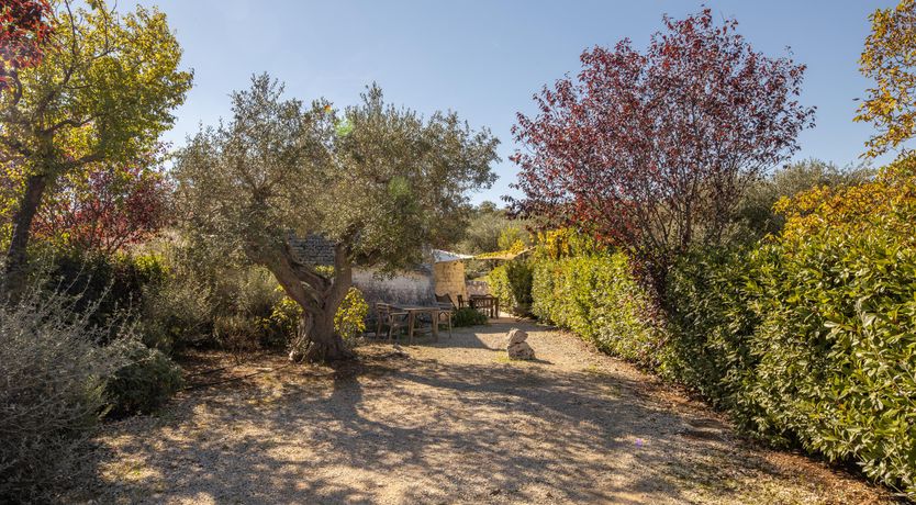 Photo of Circular View