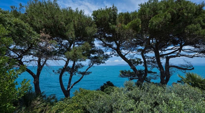 Photo of The Sweet Heart