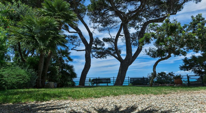 Photo of The Sweet Heart