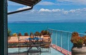 Photo of the-sweet-heart