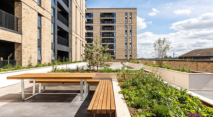 Photo of Shine Upon You