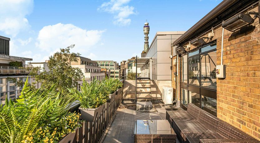 Photo of Flying Free