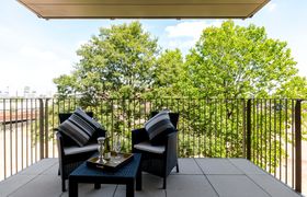 Photo of the-city-vista