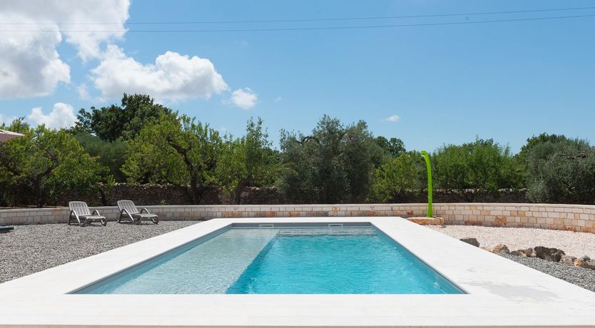 Photo of Olive Tree Vistas