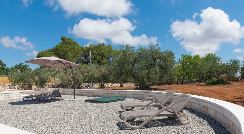 Photo of Olive Tree Vistas