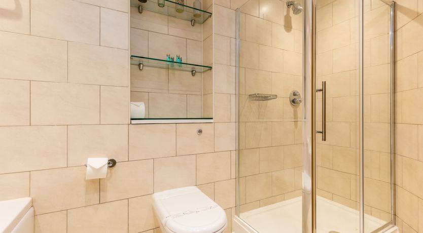 Photo of Dolphin of The South