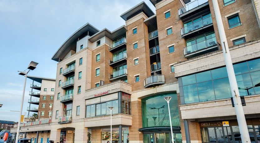 Photo of Dolphin of The South