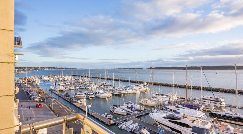 Photo of Dolphin of The South