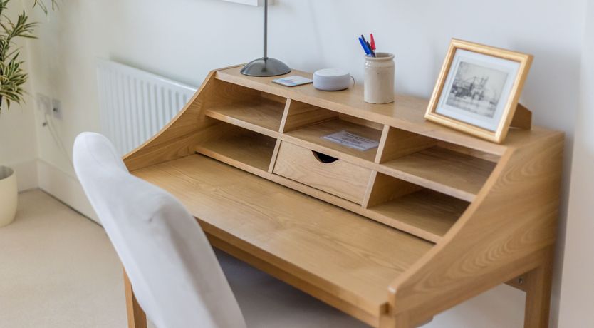 Photo of Dolphin of The South