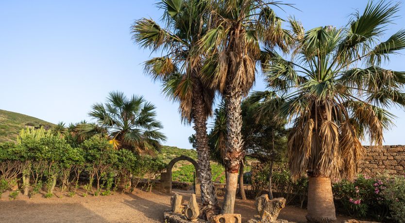 Photo of Dammuso Delight