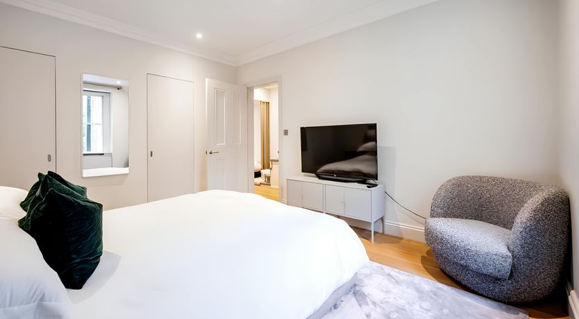 Photo of Green Ferns