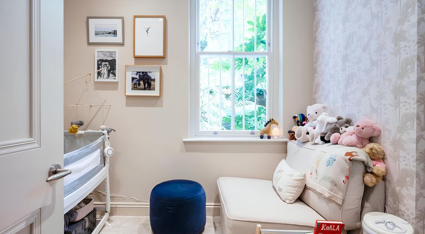 Photo of Green Ferns