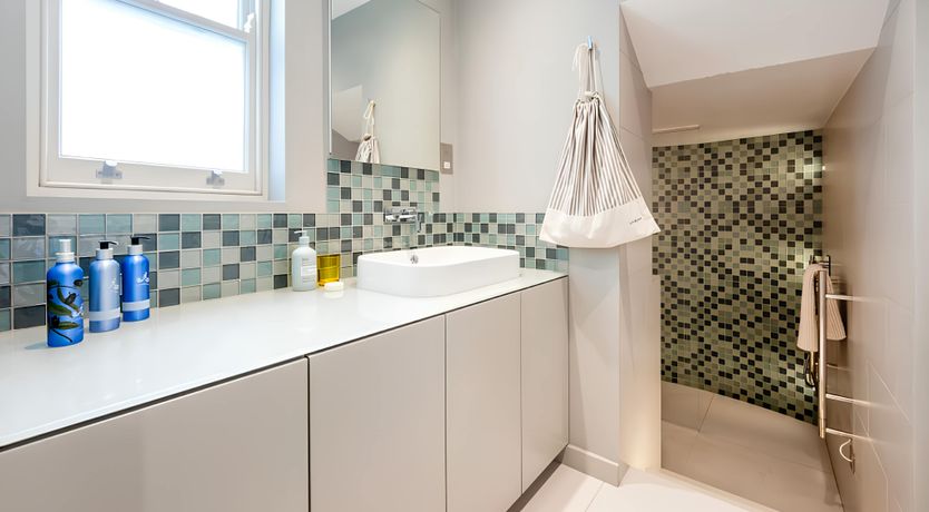 Photo of Green Ferns