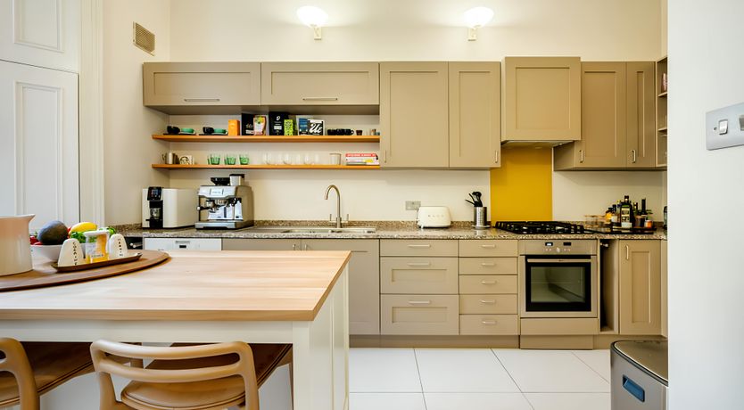 Photo of Green Ferns