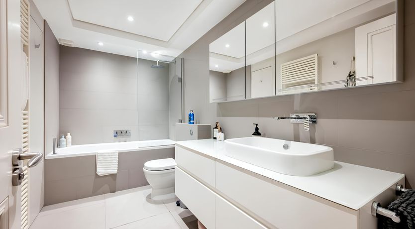 Photo of Green Ferns