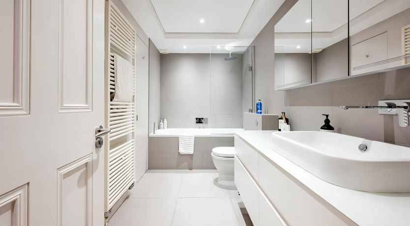 Photo of Green Ferns