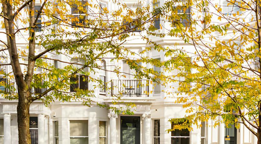 Photo of Green Ferns