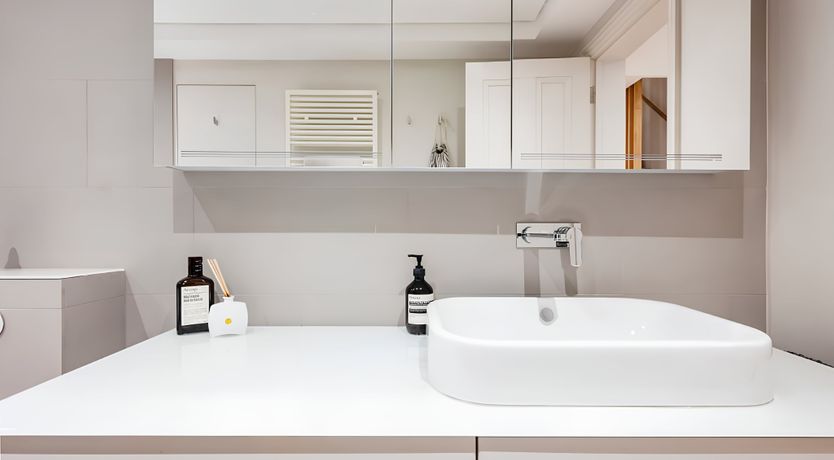 Photo of Green Ferns