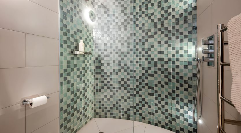 Photo of Green Ferns