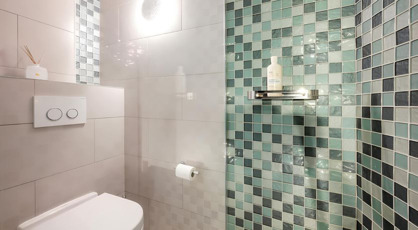 Photo of Green Ferns