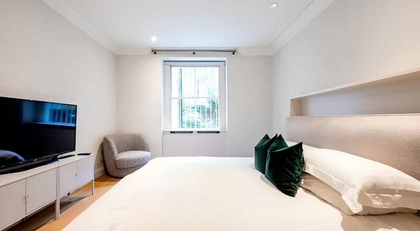 Photo of Green Ferns