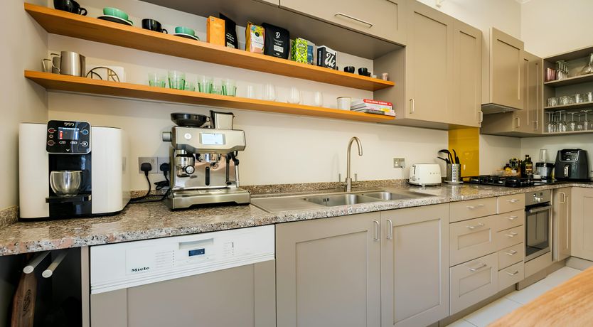 Photo of Green Ferns