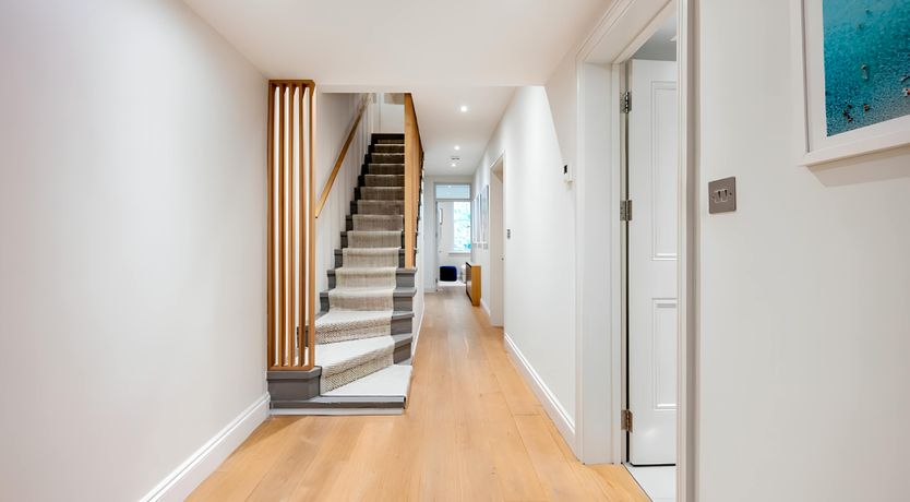 Photo of Green Ferns