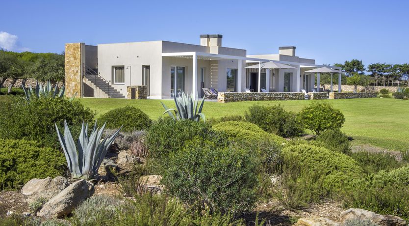 Photo of Blue Island Dream