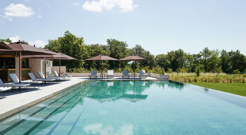 Photo of A True Love