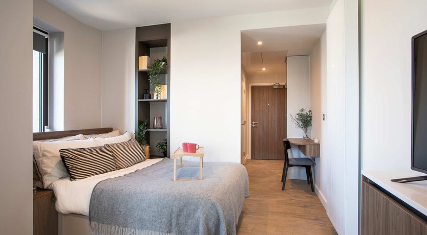 Photo of The Modern Nest