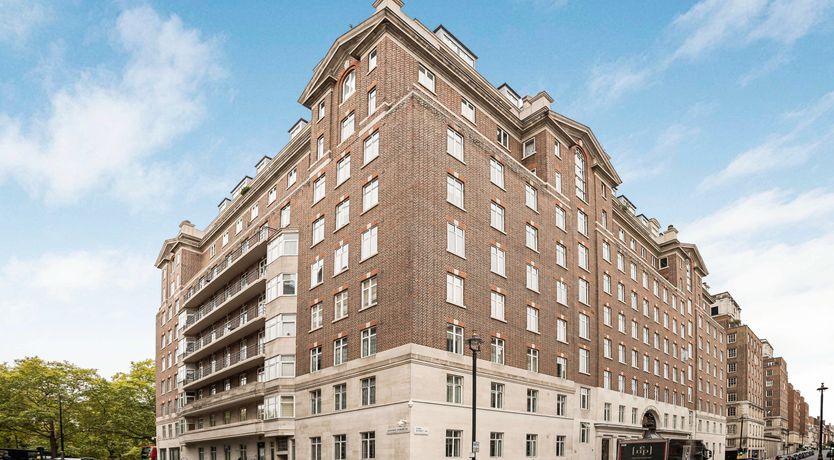 Photo of A Noble Beginning