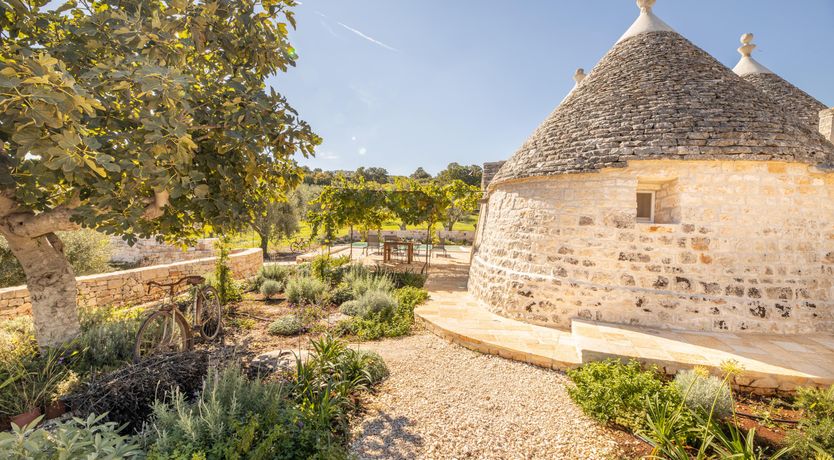 Photo of The Village Sun