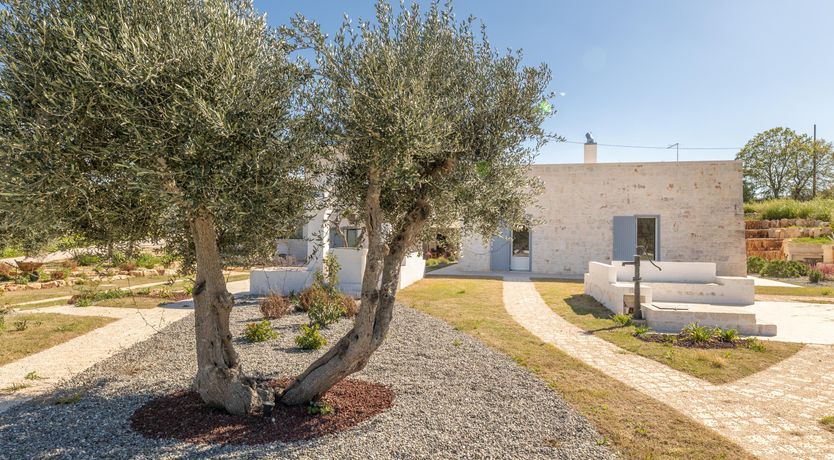 Photo of Olive Field