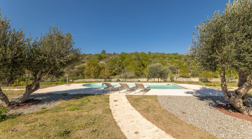 Photo of Olive Field