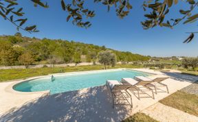 Photo of Olive Field