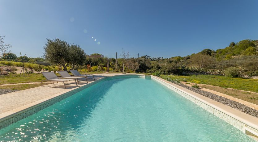 Photo of Olive Field