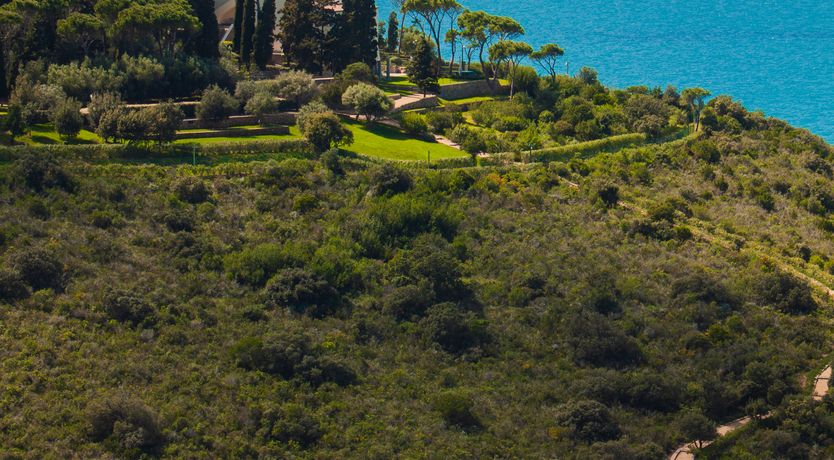 Photo of Silver Shores