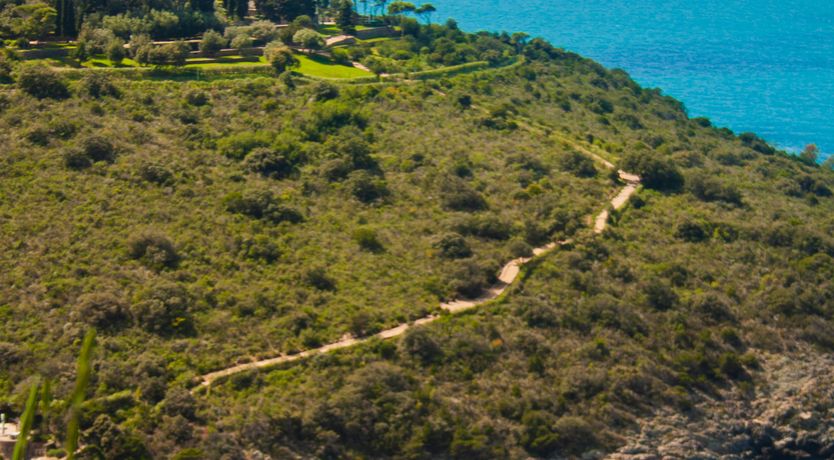 Photo of Silver Shores