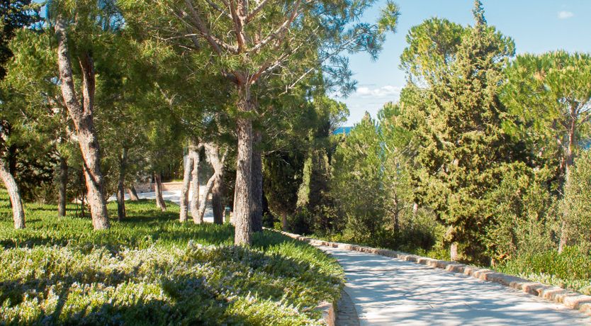 Photo of Silver Shores