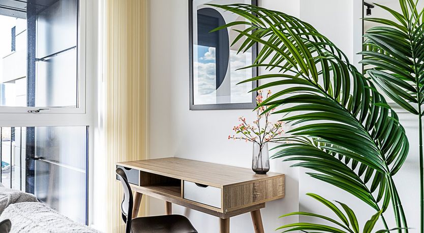 Photo of Where to Look