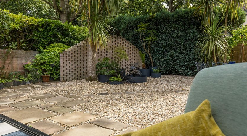 Photo of Blue-Flag Bliss