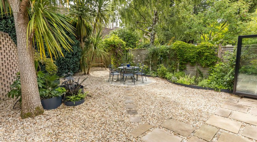 Photo of Blue-Flag Bliss