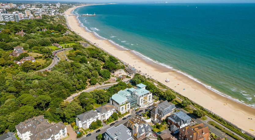 Photo of Blue-Flag Bliss