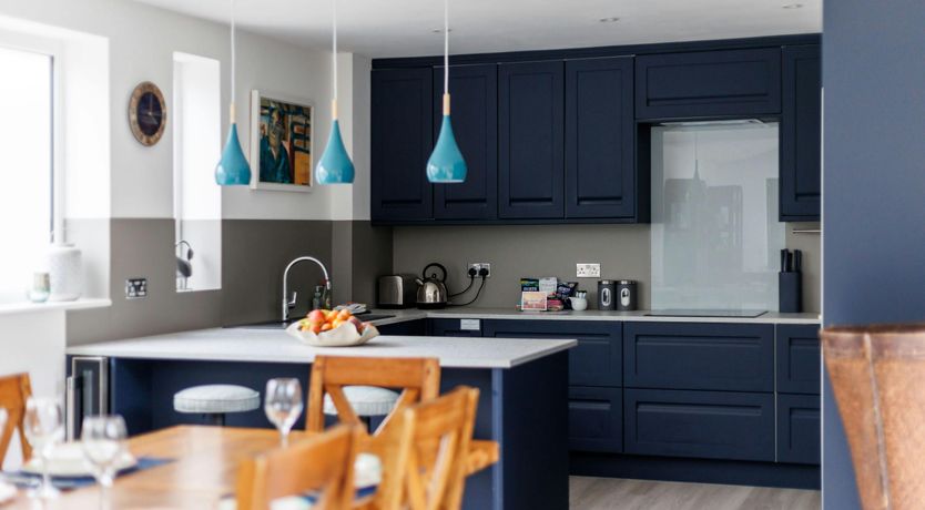 Photo of Blue-Flag Bliss