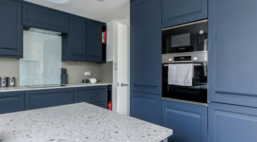 Photo of Blue-Flag Bliss