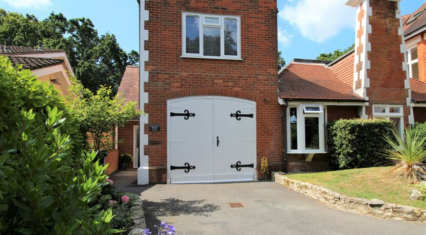 Photo of Blue-Flag Bliss